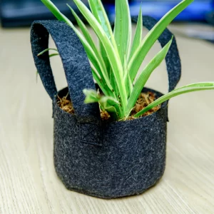 THINH GIA HUY - Tgh - Vải Xăm Kim (felt) - Túi Trồng Cây 09